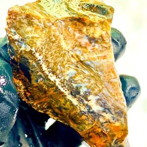 Petrified Fossil Wood Arizona Raw Mineral Natural Rough Specimen Rock Agatized